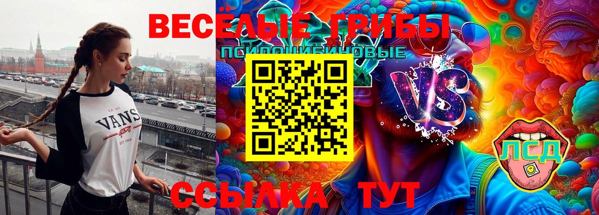 Рязань  Галлюциногенные грибы GOLDEN TEACHER  Вход с VPN 