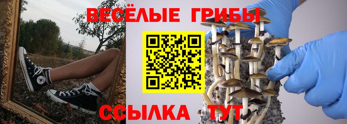 Галлюциногенные грибы прущие грибы Рязань